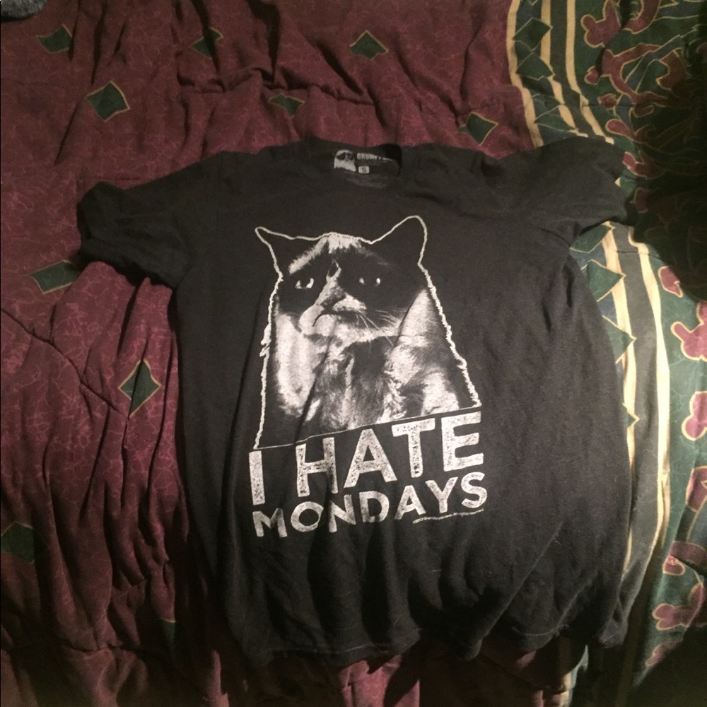 Grumpy cat i hate mondays
